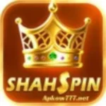 ShahSpin Game