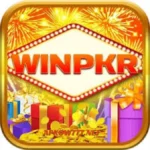 WINPKR APK